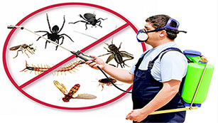 Pest Control services